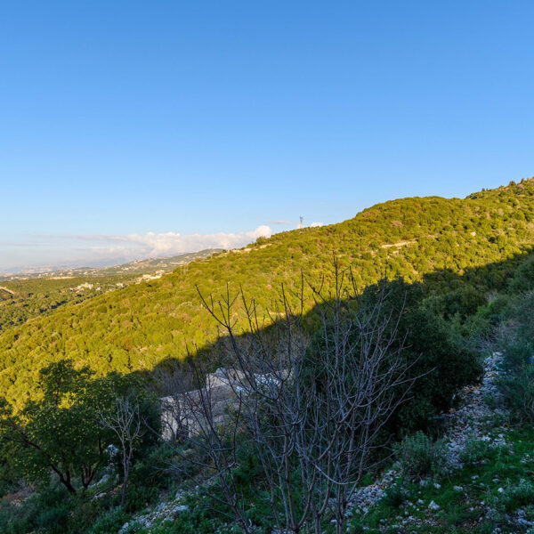 DSC_9937-HDR-1
